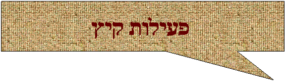 ���� �����: &nbsp;������ ��� 
